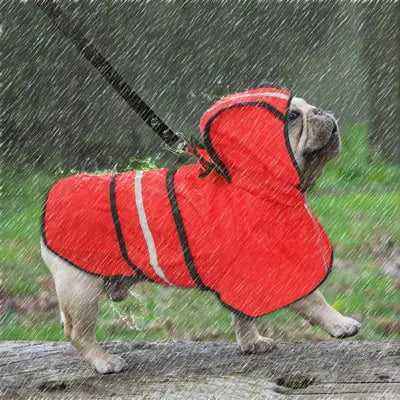 Opulent Puddle Jumper Doggie Raincoat