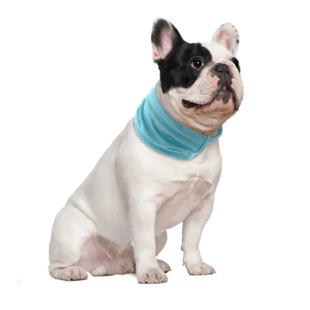 Cooling Dog Collar Instant Ice Pet Bandana Scarf Super Cool Collars for Hot Summer Small Dogs Collars Chihuahua French Bulldog