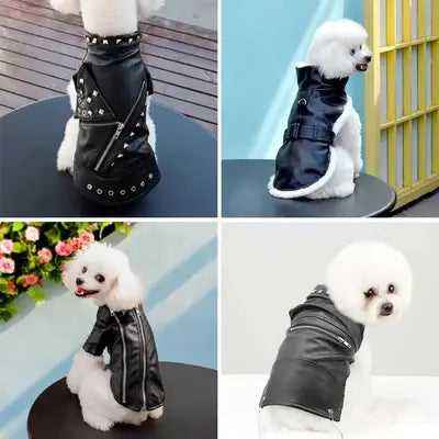 Didog Chic Leather Dog Jacket