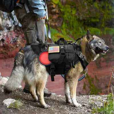 Epic Explorer Canine Comrade Tactical Dog Harness