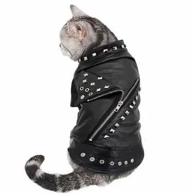 Didog Chic Leather Dog Jacket