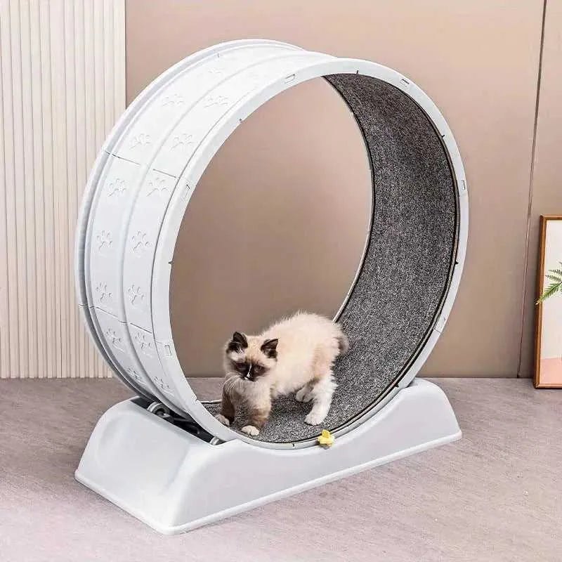 Treadmill for cats, treadmill for cats to parkour at home and small dogs, easy-to-assemble exercise rollers for cats, durable pl