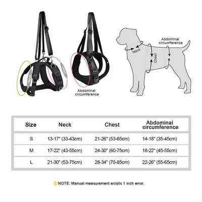 Regal Comfort: Didog Dog Lift Harness & Leash in Black