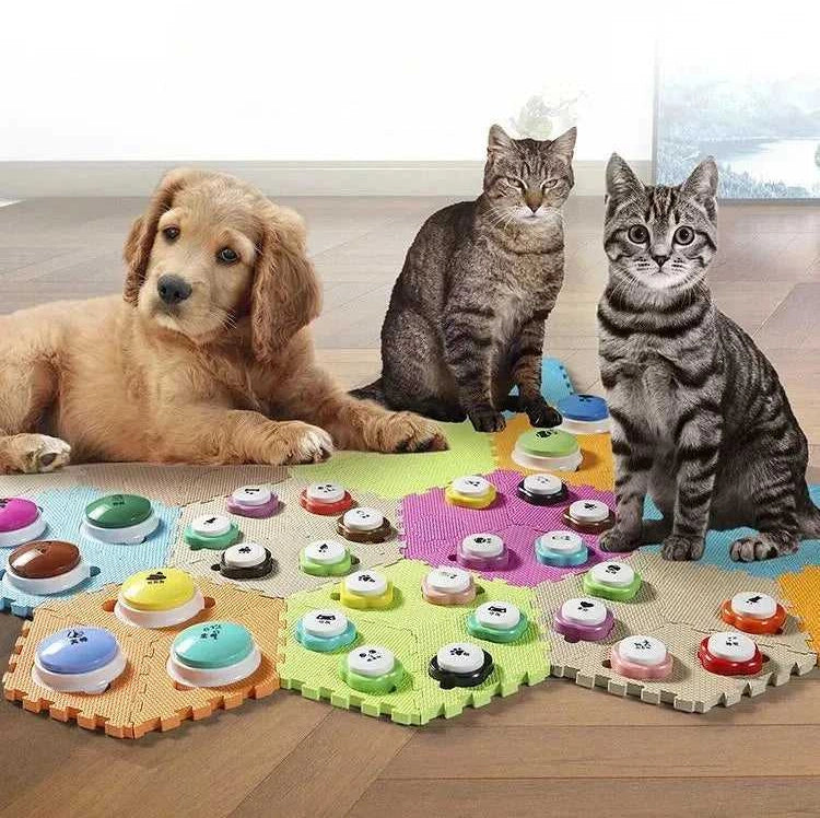 Cat Communication Small Button Dog Mini Recording Training Bell Internet Celebrity Pet Voice Tapping Sound Making Toy