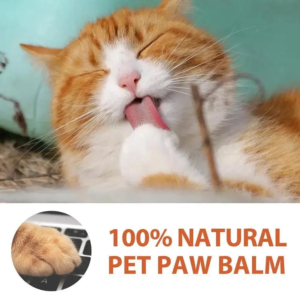 Dog Paw Balm 30g Cat Dog Paw Protective Cream Canine Paw Moisturizer for Dry Cracked Paws Hot Pavement Protection Wax Z1X5