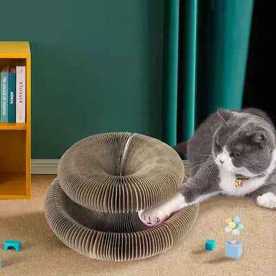 Didog Funny 3-in-1 Luxury Cat Scratcher Bed