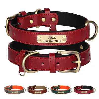 Luxury Paws Personalised Leather Dog Collar with Free Engraving