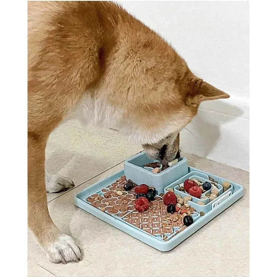 New Pet Dog Cat Tableware Anti-choking Bowl Food Grade Organosilicon Suction Cup Multifunctional Slow Food Mat Dog Licking Mat