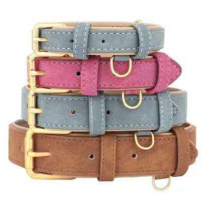 Didog Royal Leather Dog Collar