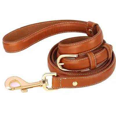 "Luxe Paws Leather Elegance Lead"