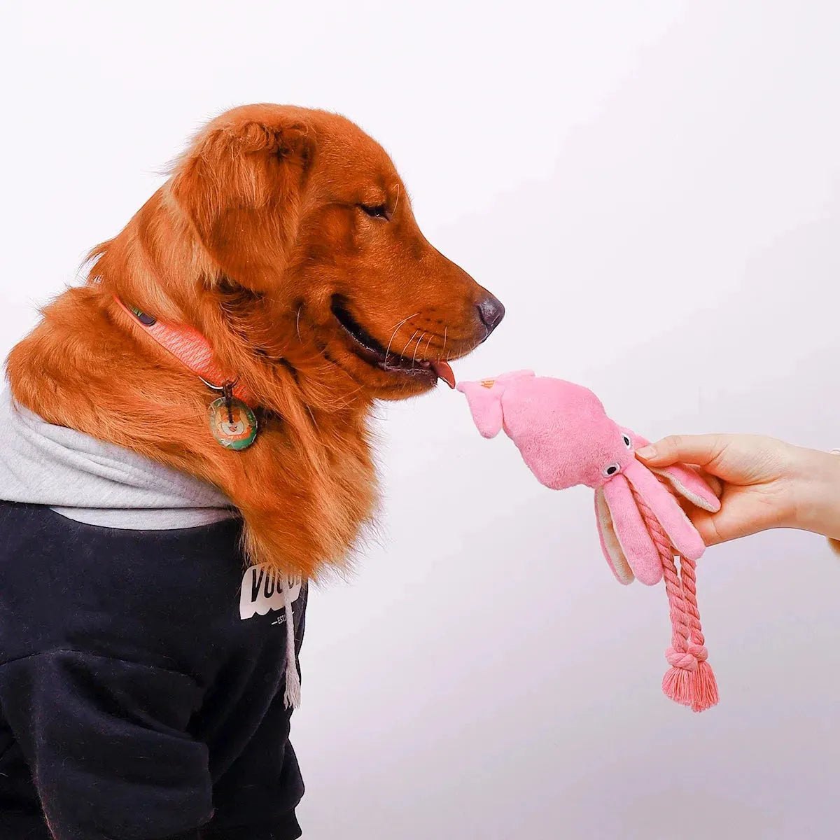 Supet Pet Octopus Plush Rope Toy Is Bite-resistant, Fun and Interactive, Suitable for Indoor and Outdoor Use