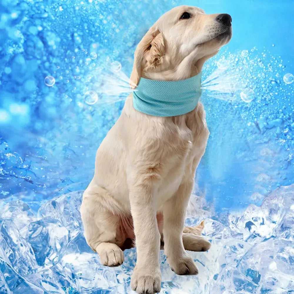 Cooling Dog Collar Instant Ice Pet Bandana Scarf Super Cool Collars for Hot Summer Small Dogs Collars Chihuahua French Bulldog