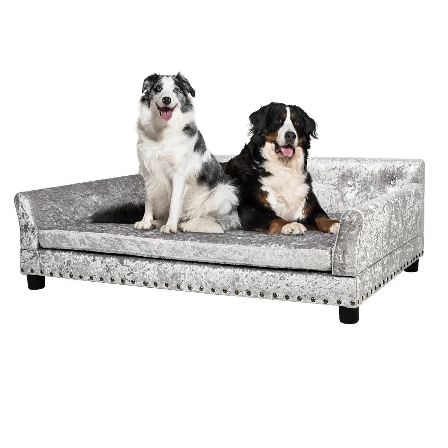 BingoPaw Large Dog Sofa Bed Deluxe Tufted Elevated Jumbo Dog Couch Bed Made Velvet - Pet Giant Snuggle Sofa Lounger Memory Foam