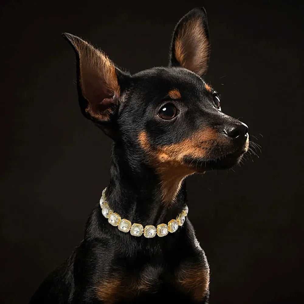 Bling Diamond Dog Chain Collar Crystal Rhinestone Pet Necklace Collar Luxury Shining Collars for Small Medium Dogs Cat Chihuahua