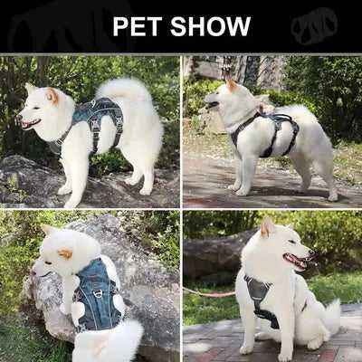 Reflective Dog Harness Adjustable Dog Harnesses Vest With Handle Durable Pet Training Walking Vest Harness for Small Medium Dogs
