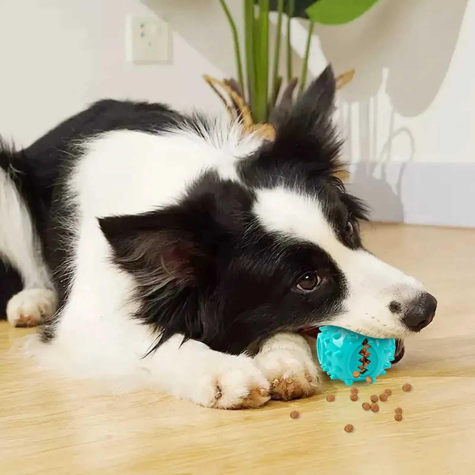 Dog Grinding Teeth Toys Chew Toys Cleaning Teeth Anti Bite Interactive Training Leaking Food Balls Toys Slow Food Pet Products