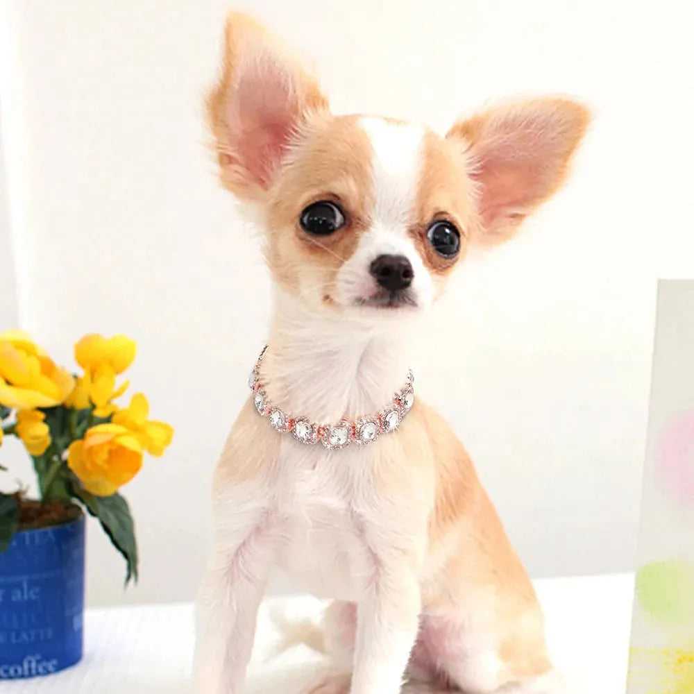 Bling Diamond Dog Chain Collar Crystal Rhinestone Pet Necklace Collar Luxury Shining Collars for Small Medium Dogs Cat Chihuahua