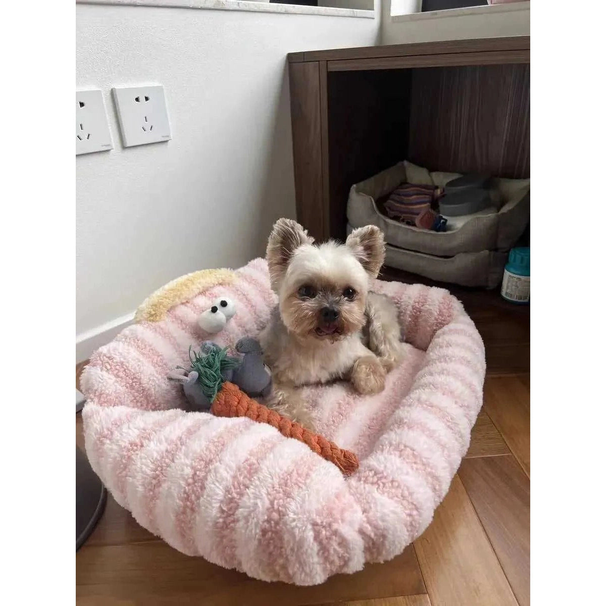 Puppy special sofa kennel winter warm pet Internet celebrity cat nest small dog dog sleeping mat cushion winter bed