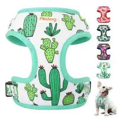 Cactus Cutie Mesh Dog Harness: Prickly Pup Fashionista