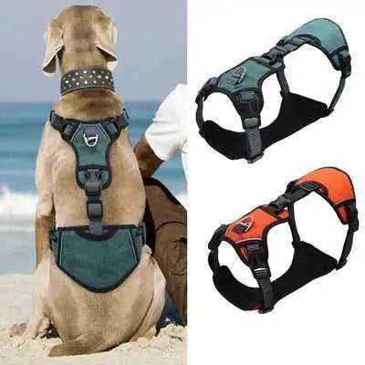 Celestial Pooch Paragon Harness