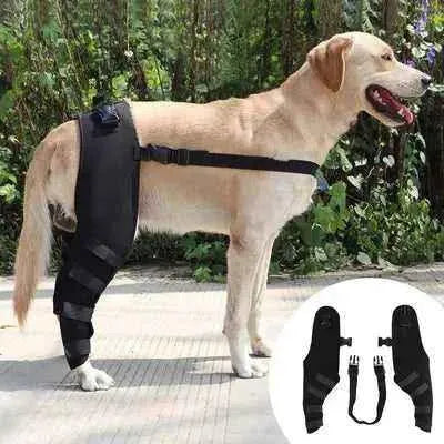 Didog Deluxe German Shepherd Leg Brace