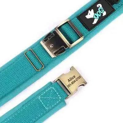 Regal Paws Personalised Leather Dog Collar with Free Engraving