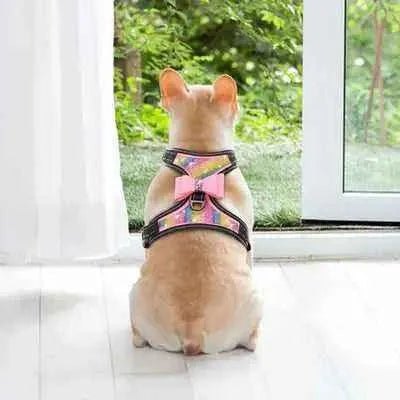 Enchanted Elegance Reflective Dog Harness