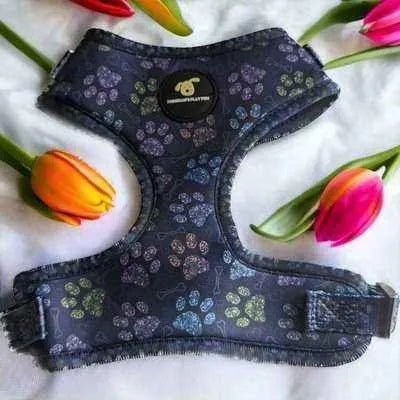 “Finnigan Breathable Fabric and Sturdy Hardware Designer Dog Harness” 🐾