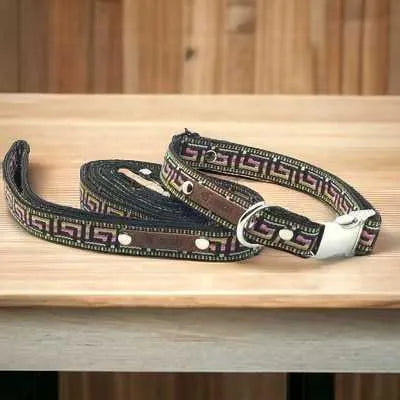 Chic Canine Elegance: Designer Dog Collar Set