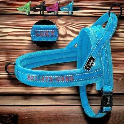 "Personalised Pooch Parade: Didog Embroidered Dog Harness 🦴"