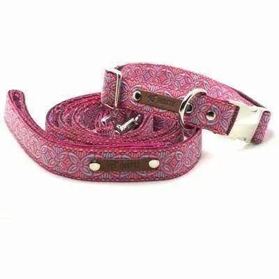 Finnigan's Fancy Designer Dog Collar Set for Big Woofers