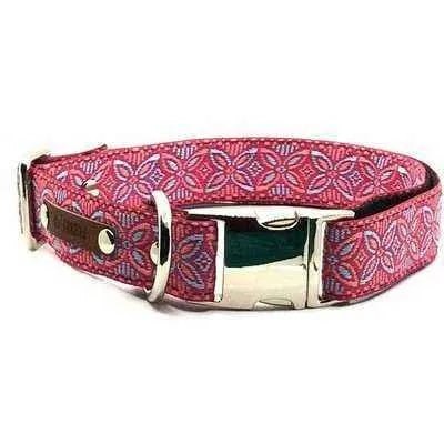 Finnigan's Fancy Designer Dog Collar Set for Big Woofers