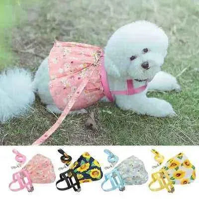 Regal Blossom Cat Vest & Leash Set