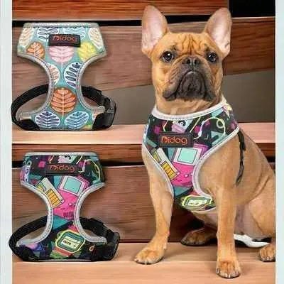 Pawsome Perfection Nylon Pet Harness