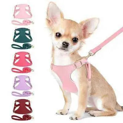 Didog Petal Paws Cozy Cotton Harness & Leash Set