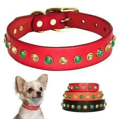 Regal Diamonds Leather Pet Dog Collar