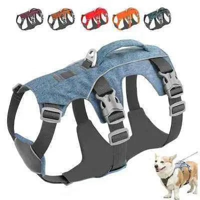 Didog Sparkling Starry Night Reflective Dog Harness