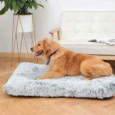 Divine Comfort Plush Paradise Pet Bed