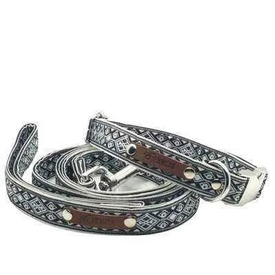 Finnigan's Whimsical Medium Dog Collar - Durable & Stylish