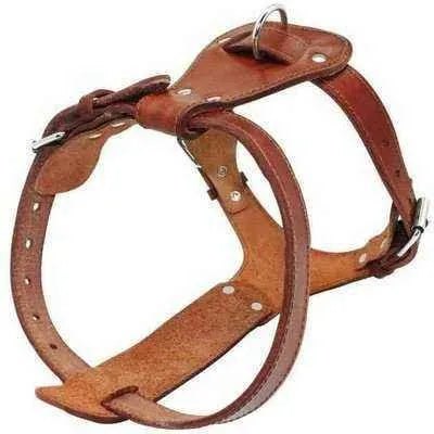 Luxury Brown Leather Dog Harness: Real Elegance for Canine Companions