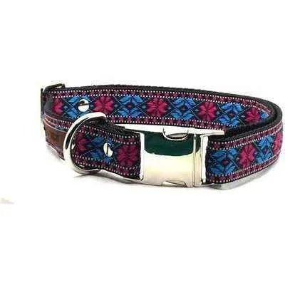 Finnigan's Designer Dog Collar Set