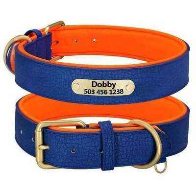 Custom Engraved Leather Padded Dogs Collars With Personalized ID Plate - Finnigan's Play Pen