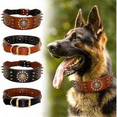 Didog Real Leather Spiked Studded Dog Collar