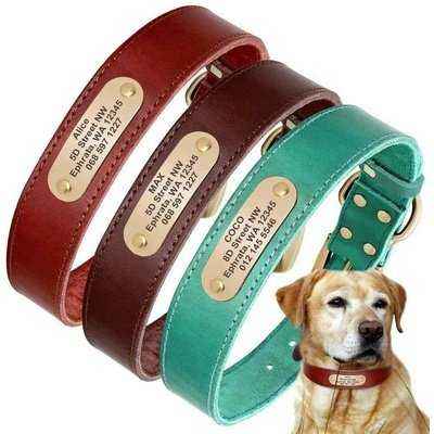 Luxury Leather Personalised Dog Collar with Engraved Tag