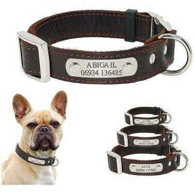 Regal Paws: Personalised Real Leather Dog Collar with Name Tag Plate