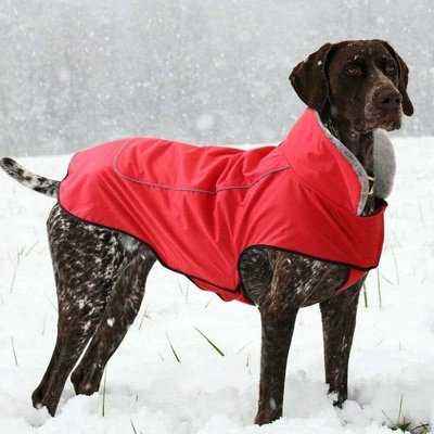 Regal Paw Winter Elegance Waterproof Dog Jacket