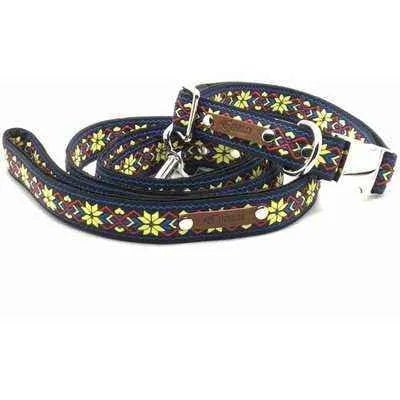 Finnigan's Designer Dog Collar Set