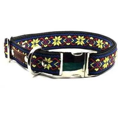 Finnigan's Designer Dog Collar Set