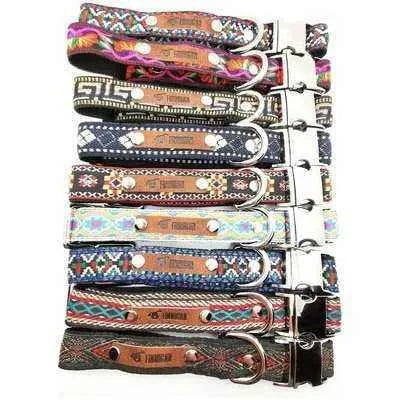 Finnigan Designer Dog Collar - Distinctive Collection Medium