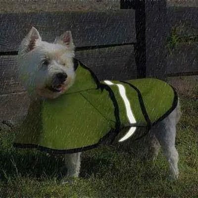 Pawsome Pets Reflective Raincoat for Furry Friends